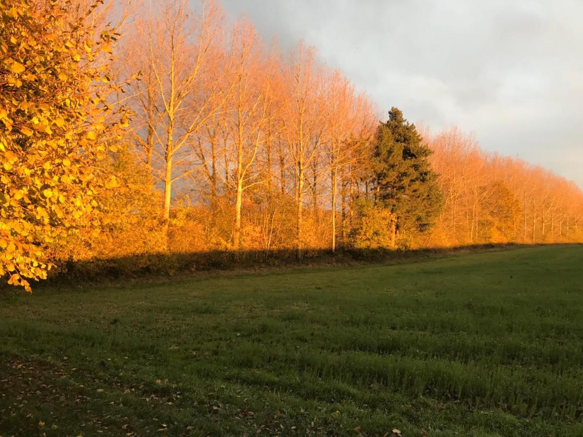 La Suite Cosy - Votre Pause Arboree La Bruyere Exterior photo