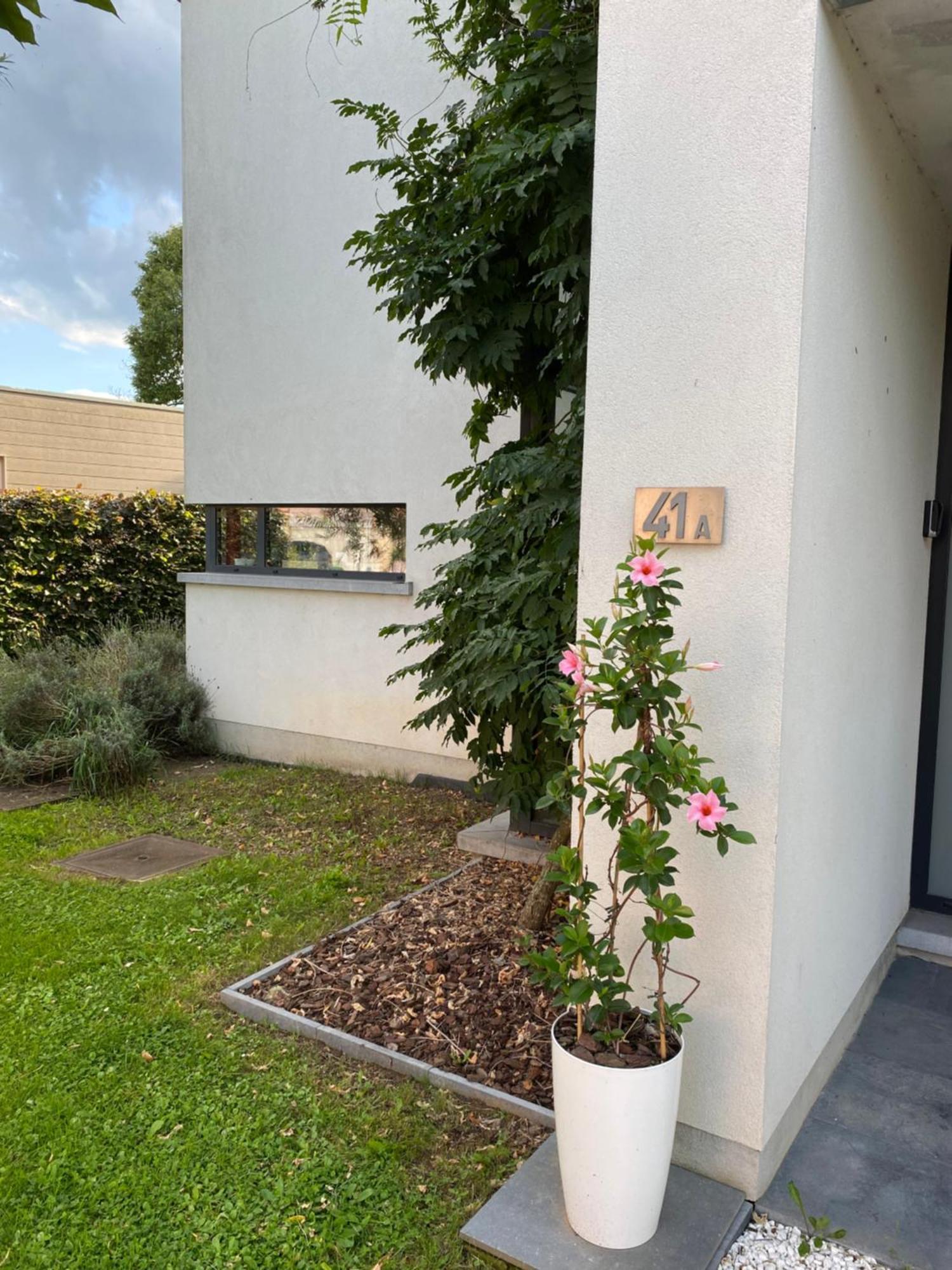La Suite Cosy - Votre Pause Arboree La Bruyere Exterior photo